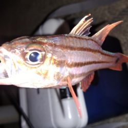 家族旅行の送迎