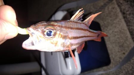 家族旅行の送迎