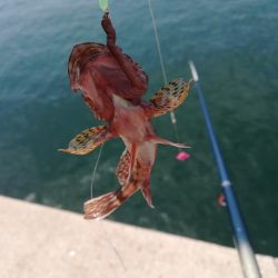 キス狙いのはずが、、、