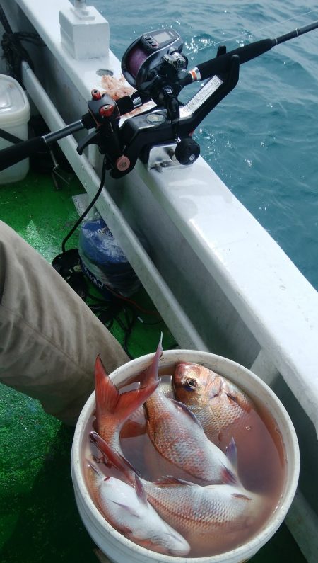 第二美丸　マダイ完全ふかせ