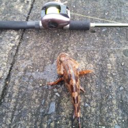 落とし込みでこの結果