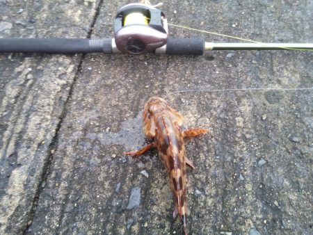 落とし込みでこの結果