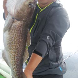 第二美丸　マダラ狙い