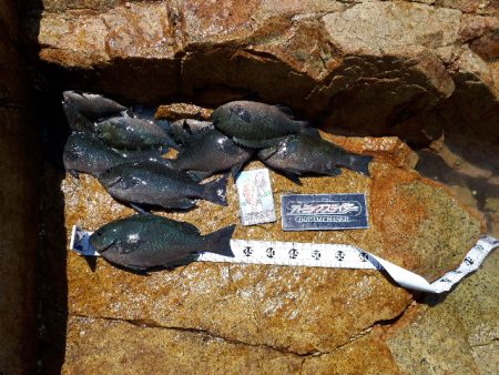 仲間内のゆかいな大会