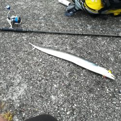 潮の下げ始めからショアラバ開始で、、、