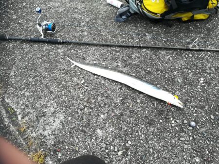 潮の下げ始めからショアラバ開始で、、、