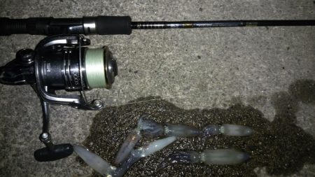 ヒイカ釣り