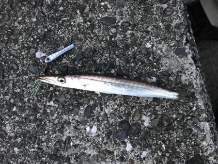 アジングしても結局ガッシー