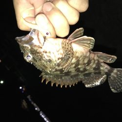 今夜もガッシーマンション！