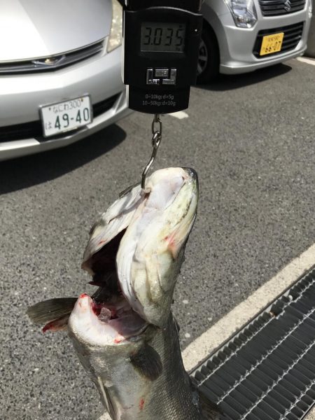 貝塚人工島でブリ狙いでしたが。。