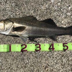 貝塚人工島にて