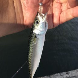 泉大津の砂上げ場。