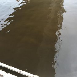 田尻の釣堀にて