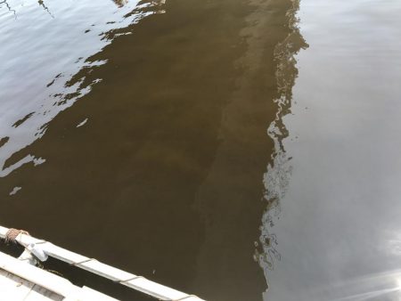 田尻の釣堀にて