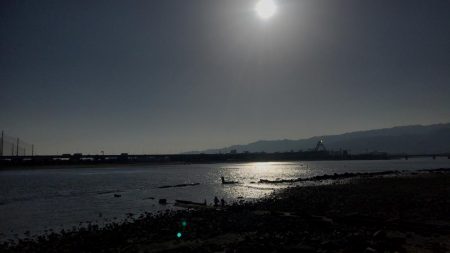 甲子園浜　２日連続　マルチ