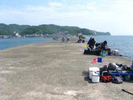 今週も加太港大波止でカワハギ