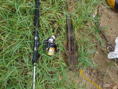 シブイ日でした