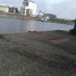 アジングの筈が