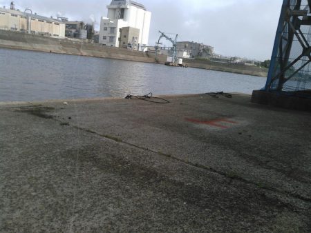 アジングの筈が