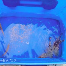 小1時間のファミリーフィッシング