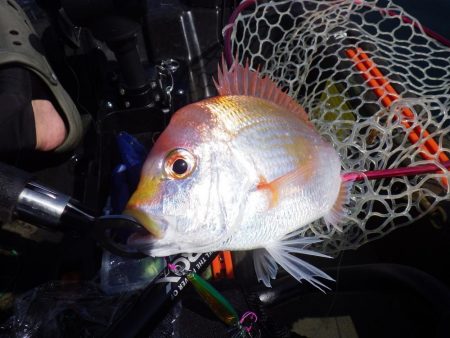 マイカヤック　レンコダイ