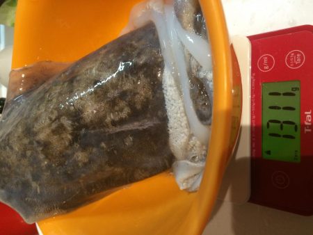 タコエギでイカ