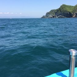 ボートフィッシング