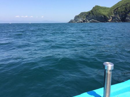 ボートフィッシング