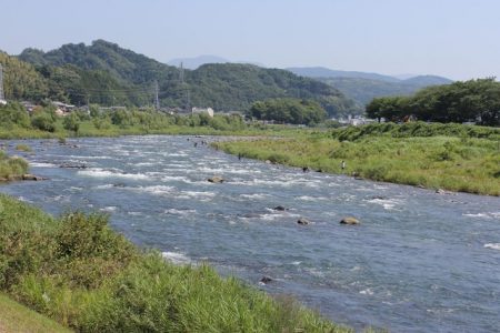 狩野川(狩野川漁業協同組合) 釣果
