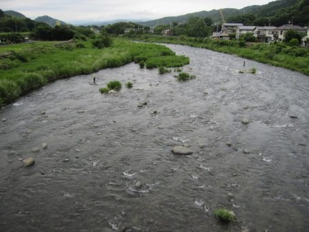 狩野川(狩野川漁業協同組合) 釣果