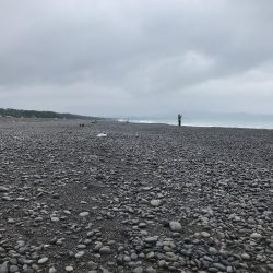 中紀で梅雨のキロアップアオリイカ