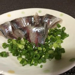 ホゴパラダイス！