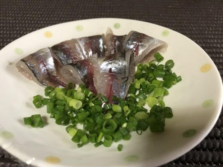 ホゴパラダイス！