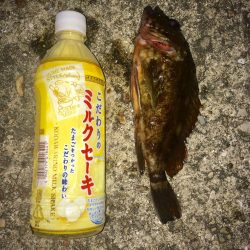 アナゴ釣り 寒かった(ー ー;)