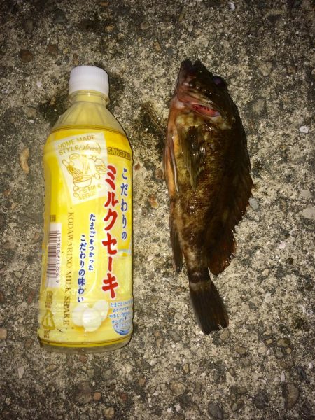 アナゴ釣り 寒かった(ー ー;)