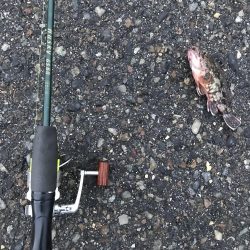 出勤前に。part 9