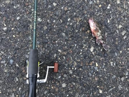 出勤前に。part 9