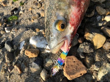 もうちょいでポン！