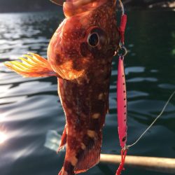 高浜　音海での手漕ぎボート