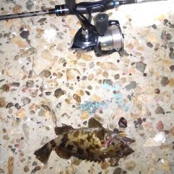 雨上がりの得意パターン〜メバリングはいつまで?〜