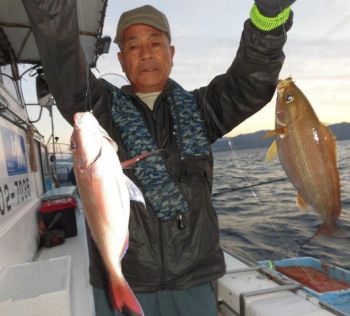 土佐安芸のハマちゃん