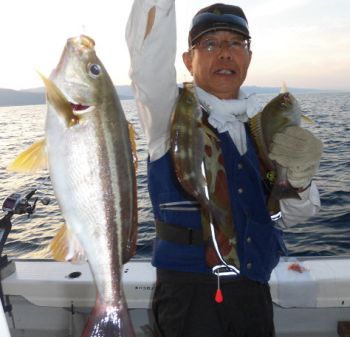 土佐安芸のハマちゃんの釣果