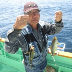 土佐安芸のハマちゃんの釣果