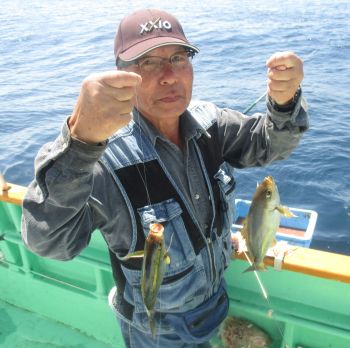 土佐安芸のハマちゃんの釣果