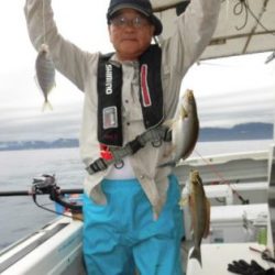 土佐安芸のハマちゃん