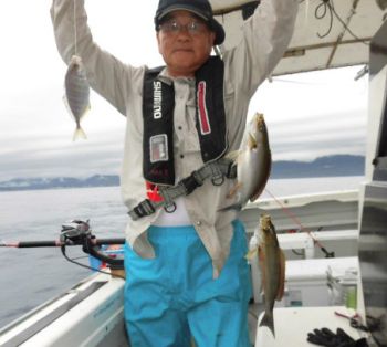 土佐安芸のハマちゃん