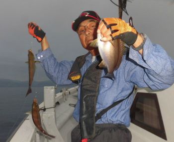 土佐安芸のハマちゃんの釣果