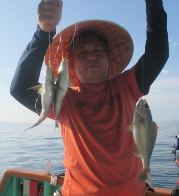 土佐安芸のハマちゃんの釣果