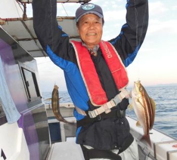 土佐安芸のハマちゃんの釣果