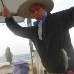 土佐安芸のハマちゃんの釣果